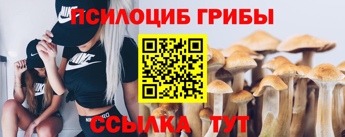 Галлюциногенные грибы мицелий  Вход с VPN  Псилоцибиновые грибы мицелий  Нурлат 